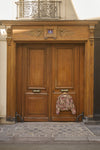 2026FW - Cream - Manteau - Petuja
