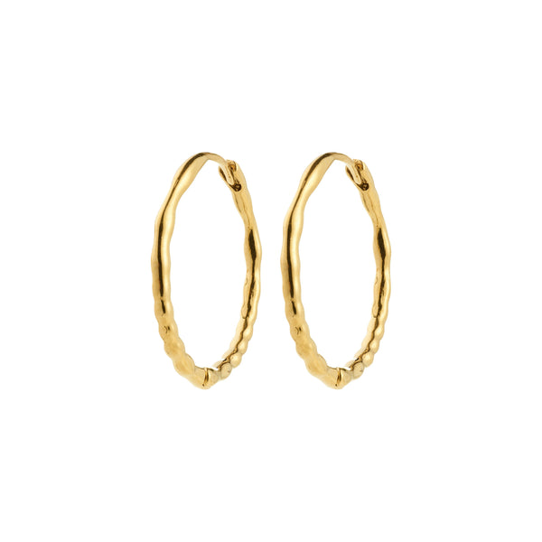 2025FW - Pilgrim - Bijoux - Boucles d'oreilles - Or