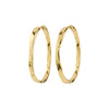 2026SS - Pilgrim - Bijoux - Boucles d'oreilles - Gold