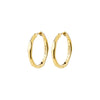 2026FW - Pilgrim - Bijoux - Boucles d'oreilles - Or