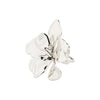 2026SS - Pilgrim - Bijoux - Bague - Argent