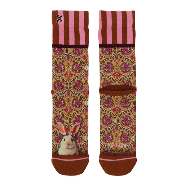2026SS - XPOOOS - Chaussettes - Donna