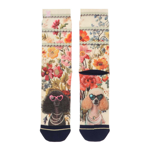 Poodles Chaussettes