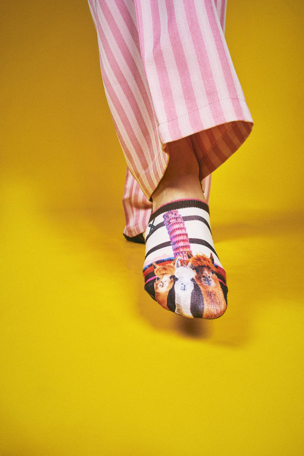 2026FW - XPOOOS - Chaussettes - Pisa