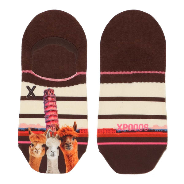 Pisa Chaussettes